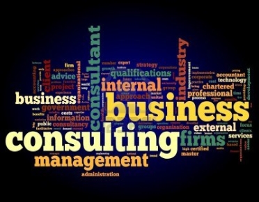 BUSINESS CONSULTING SERVICE